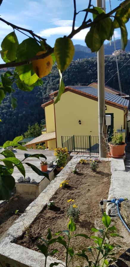 Casa Ela Villa Levanto Buitenkant foto